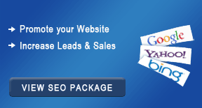 Top seo firm india